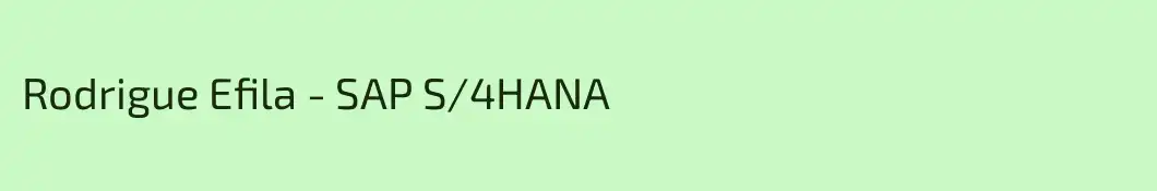 Rodrigue Efila - SAP S/4HANA